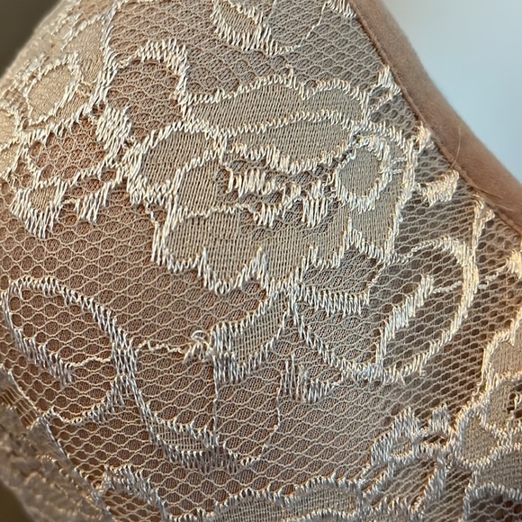 Avenue Body Bra - 52C Nude Underwire, Lace, Padded - Picture 2 of 10